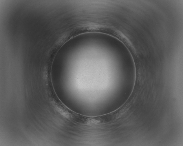 X0000073480257200607311208