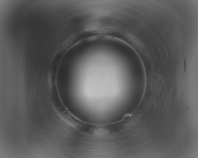 X0000073480258200607311208