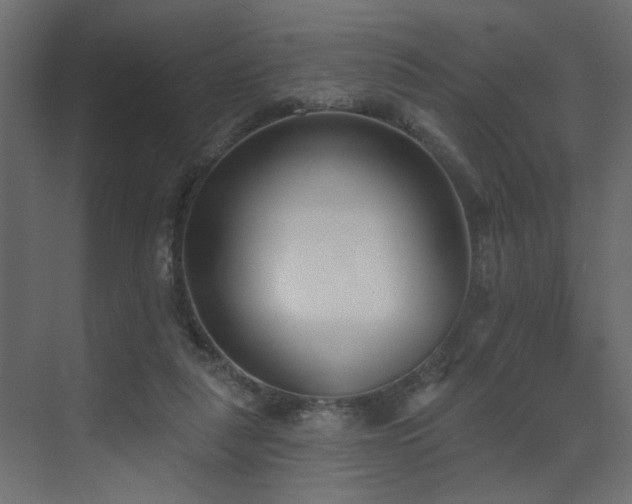 X0000073480259200607311208