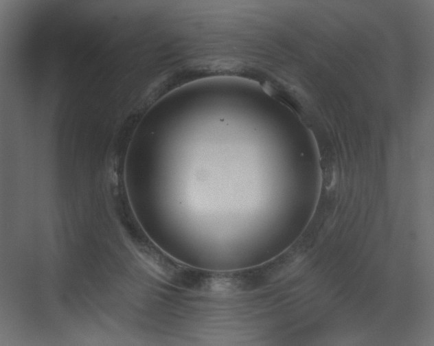 X0000073480264200607311208