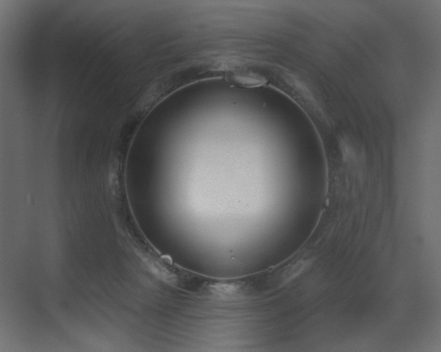 X0000073480265200607311208