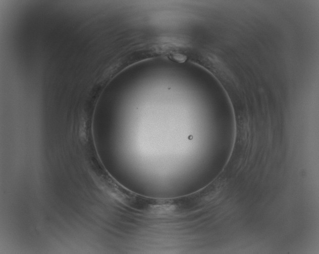 X0000073480266200607311208