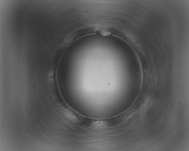 X0000073480269200607311208