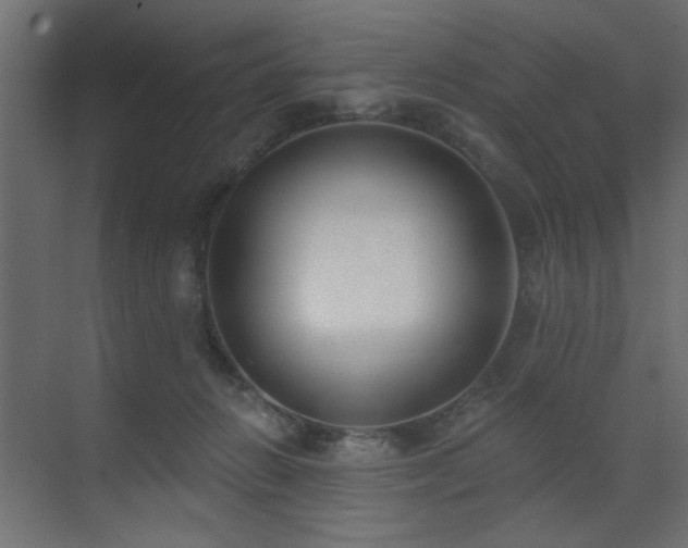 X0000073480270200607311208