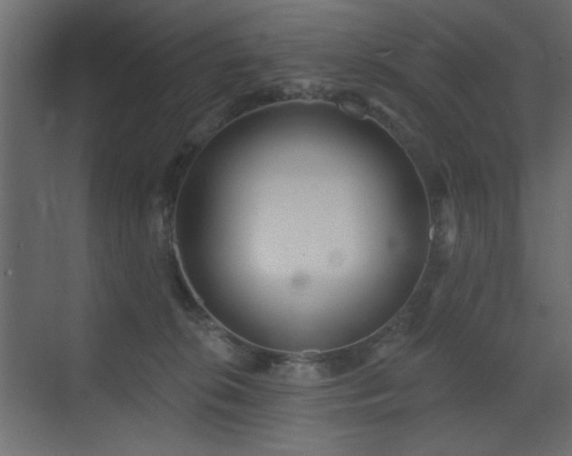 X0000073480276200607311208