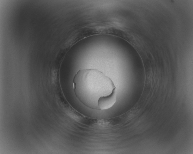 X0000073480278200607311208