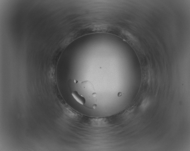 X0000073480281200607311208