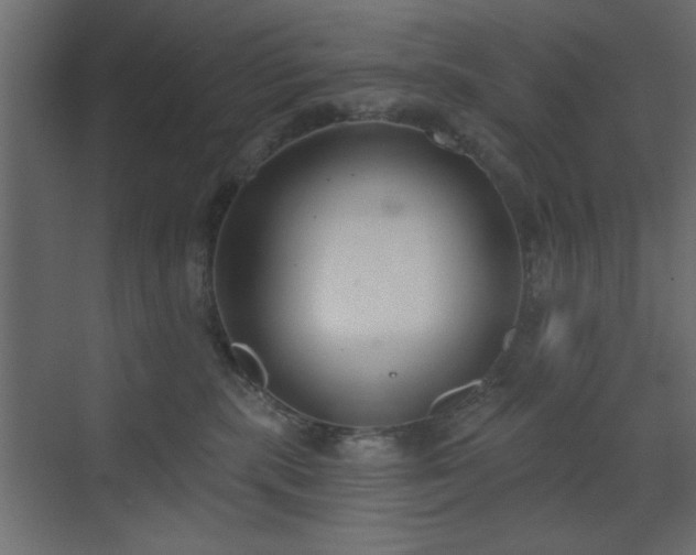 X0000073480283200607311208