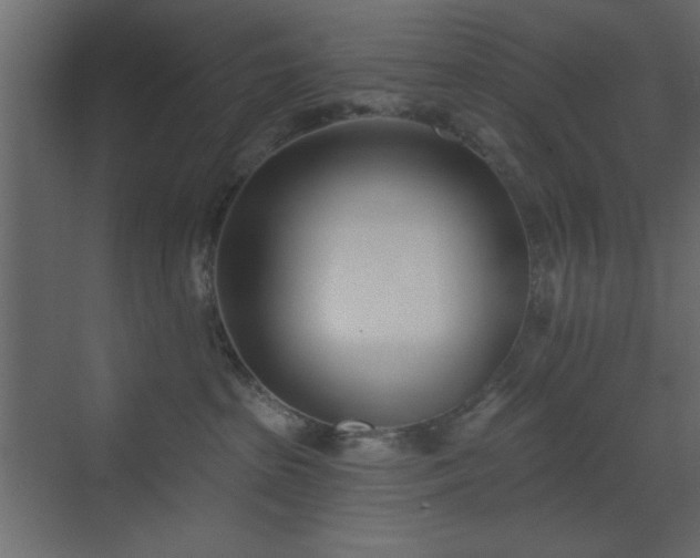 X0000073480285200607311208