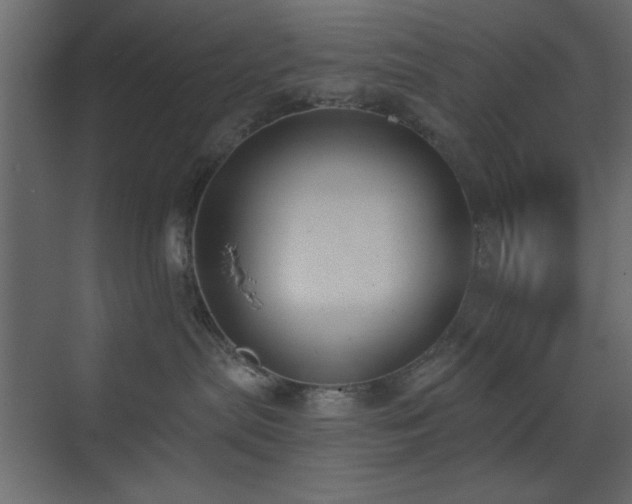 X0000073480287200607311208