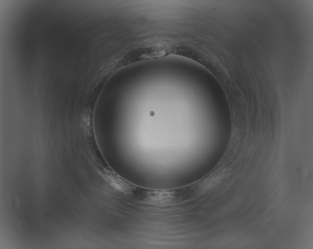 X0000073480288200607311208