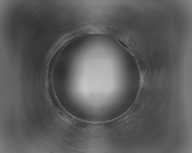 X0000073480291200607311207