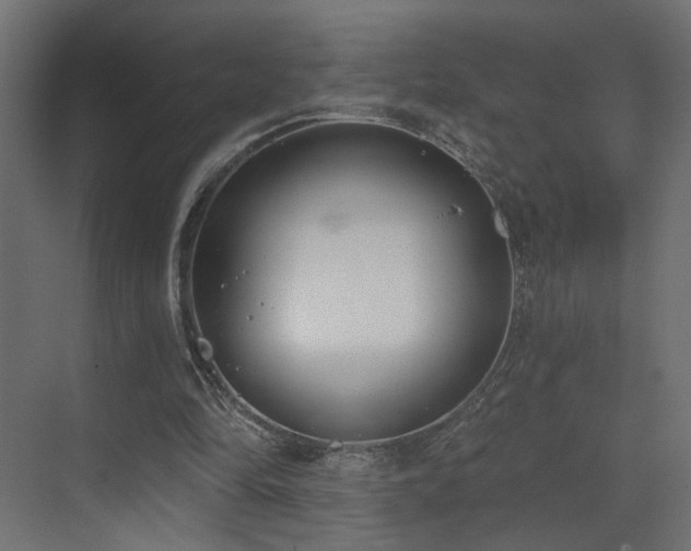 X0000073480294200607311207