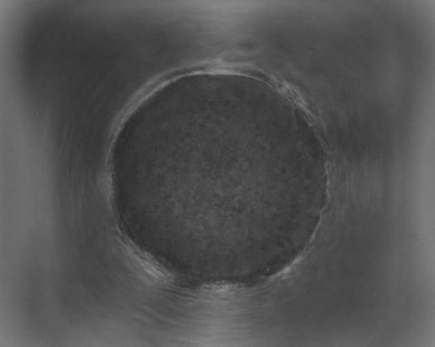 X0000073480295200607311207