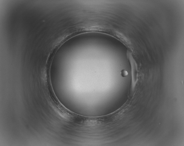 X0000073480298200607311207