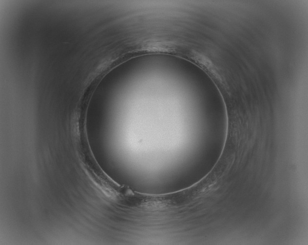 X0000073480299200607311207