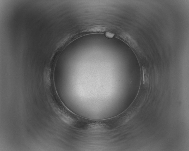 X0000073480300200607311207