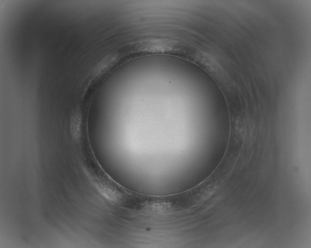 X0000073480304200607311207