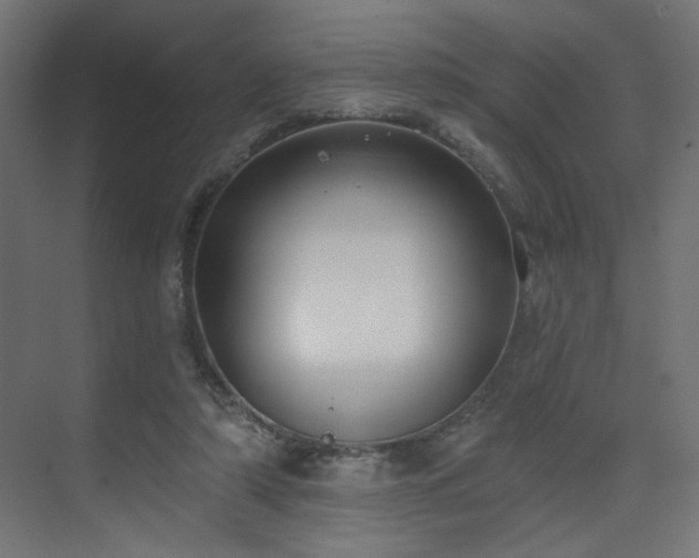 X0000073480306200607311207