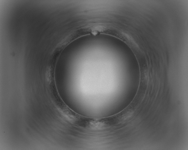 X0000073480311200607311207