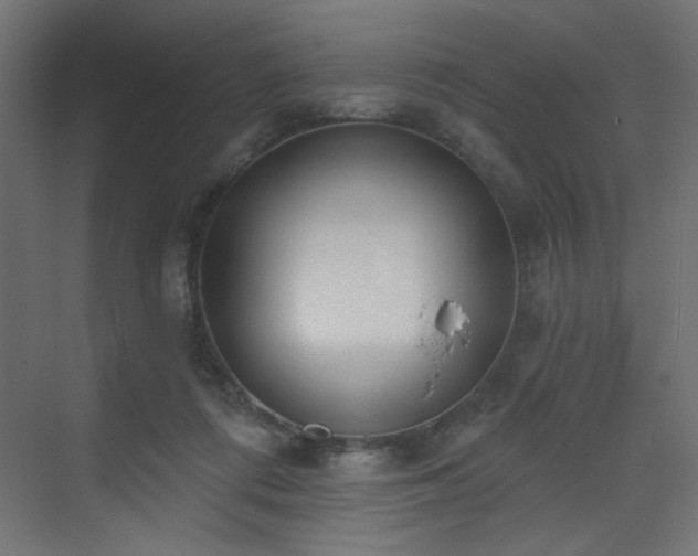 X0000073480312200607311207