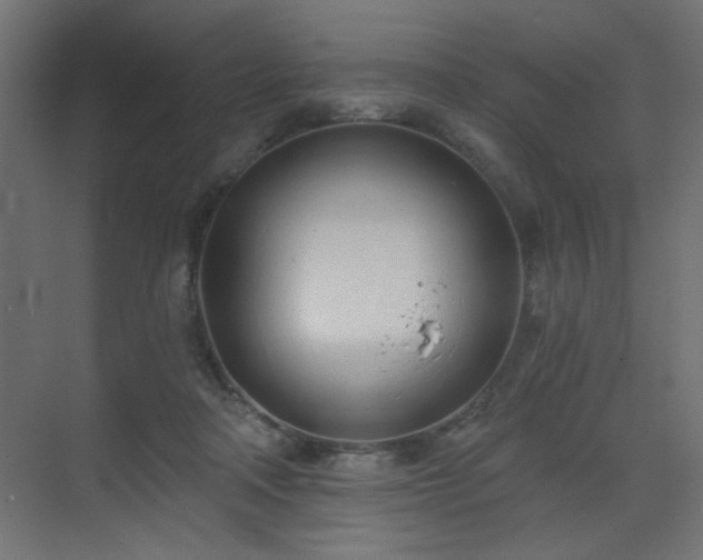 X0000073480314200607311207