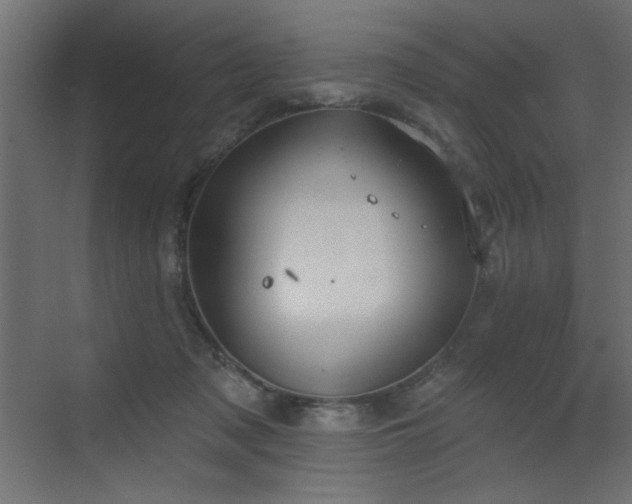 X0000073480317200607311207