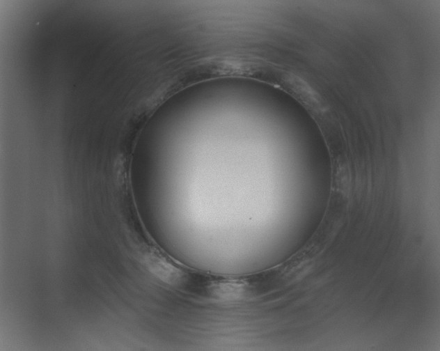 X0000073480318200607311207