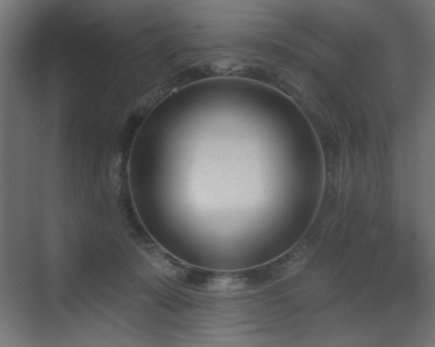 X0000073480319200607311207