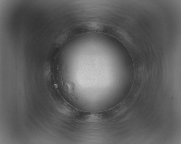 X0000073480320200607311207