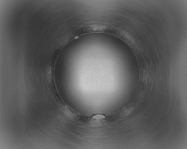 X0000073480321200607311207