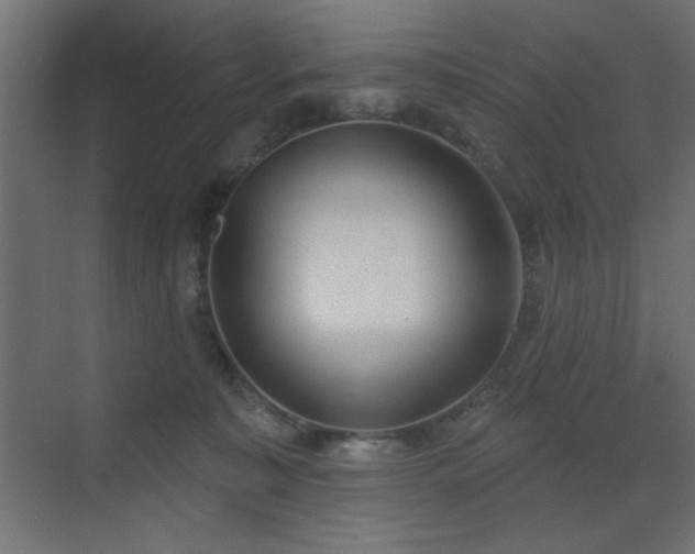 X0000073480323200607311207