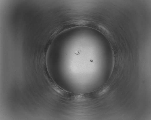 X0000073480325200607311207