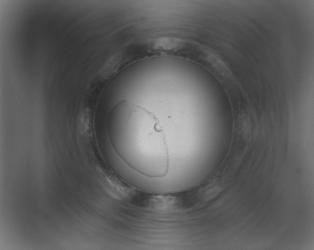 X0000073480328200607311207