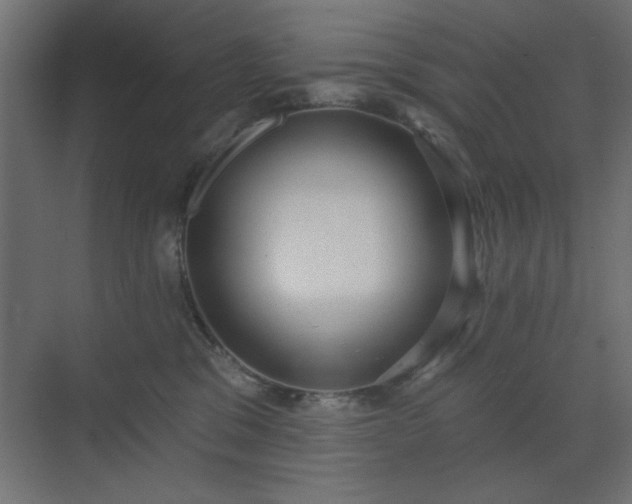 X0000073480329200607311207