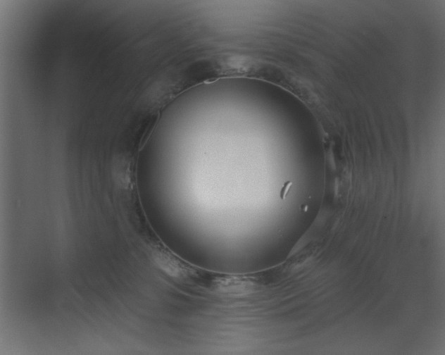 X0000073480331200607311207