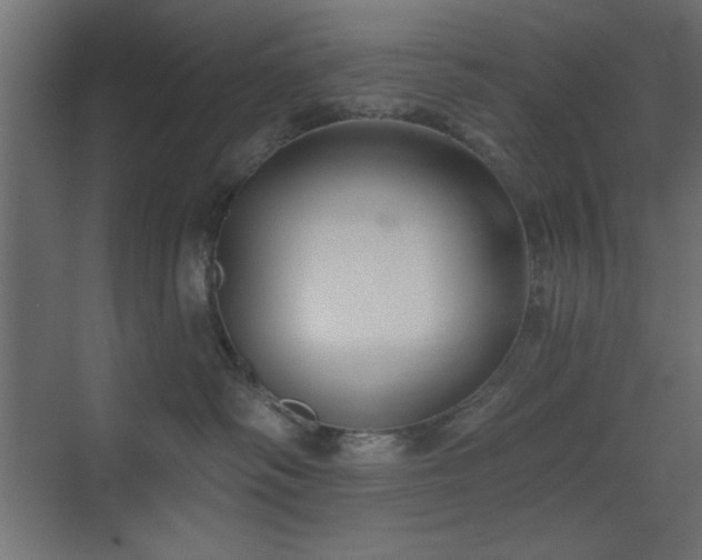 X0000073480334200607311207