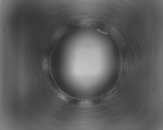 X0000073480335200607311207