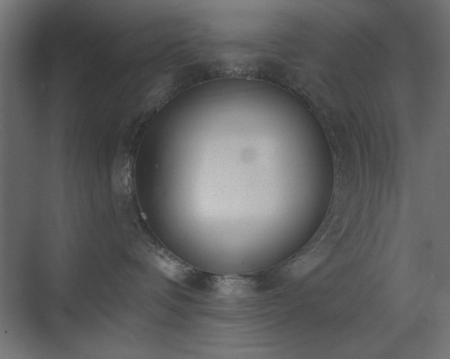 X0000073480336200607311207