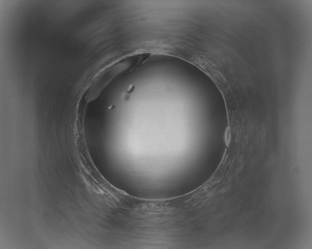 X0000073480338200607311206