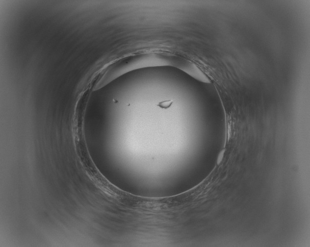 X0000073480339200607311206