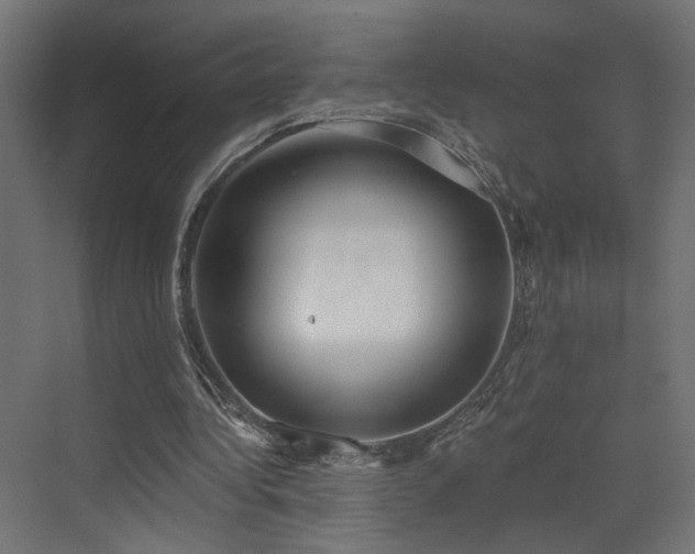 X0000073480340200607311206