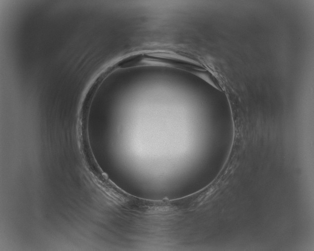 X0000073480342200607311206