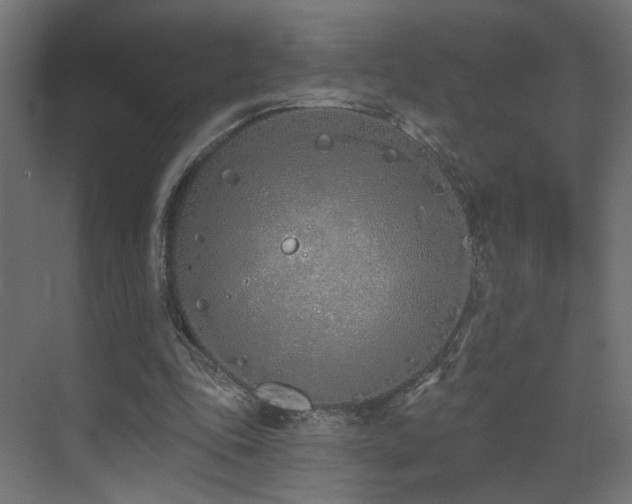 X0000073480343200607311206