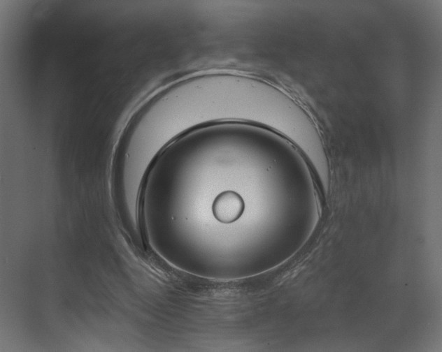 X0000073480344200607311206