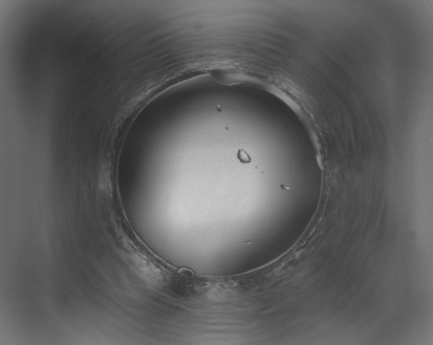 X0000073480345200607311206