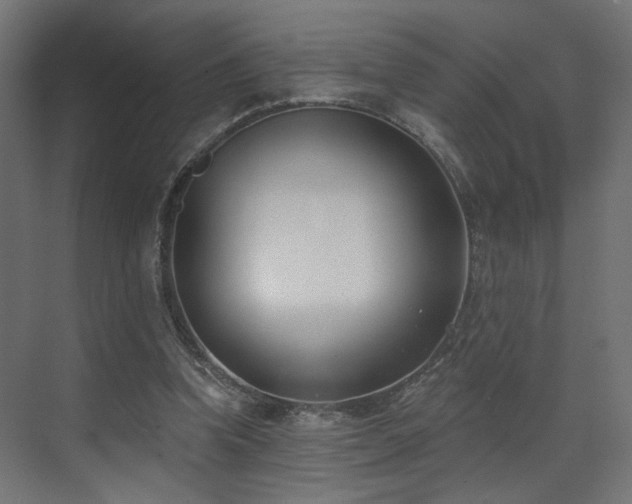 X0000073480346200607311206