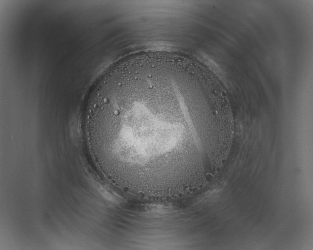 X0000073480347200607311206