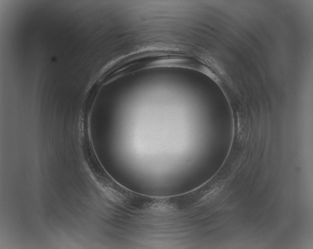 X0000073480348200607311206