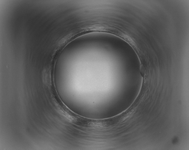 X0000073480349200607311206